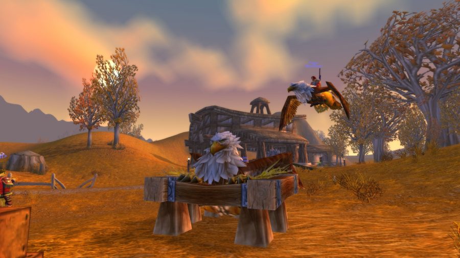 In the scenic environment, a large bird is sitting in its nest while another bird is flying in the sky, The sun is setting and its yellow head is shining on the bright trees